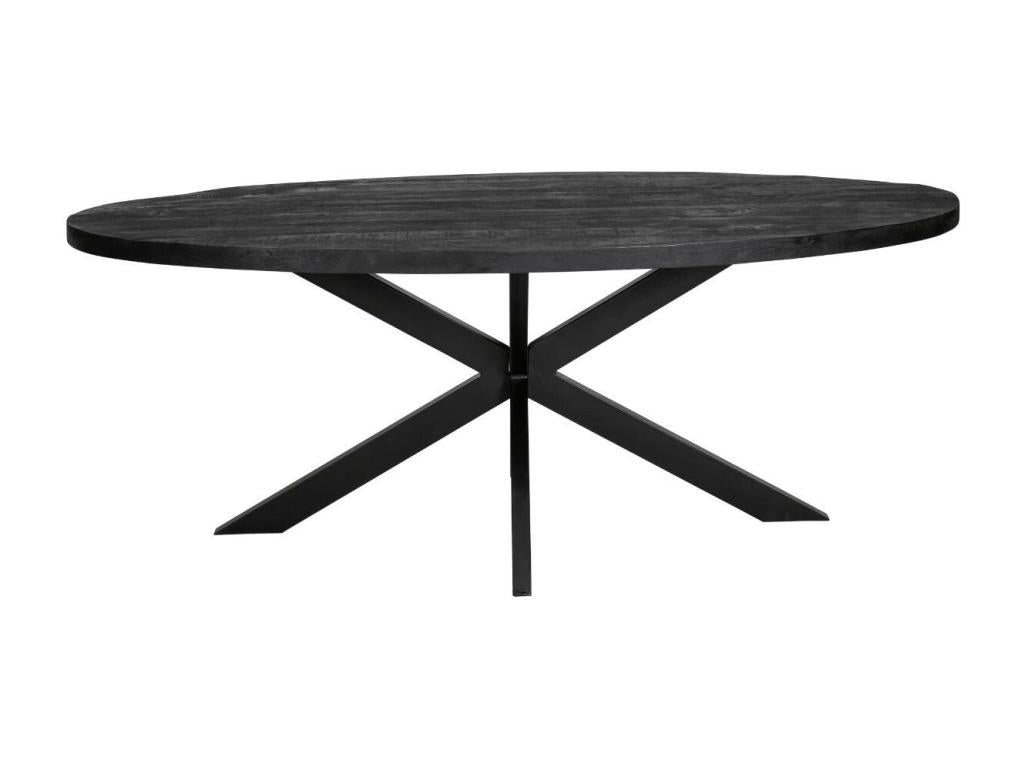 Nidchicshop Oval Wooden Dining Table 10008KGCK