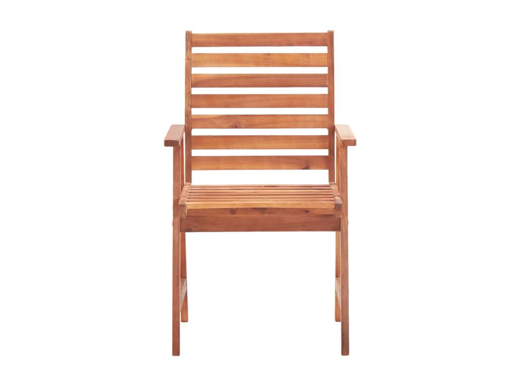 Bohometop Solid Wood Outdoor Dining Chairs, Set of 2 with Cushions, 22 61102YRFM