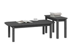 Set of 2 coffee tables, Grey, Solid pine wood, 42940JDRZ