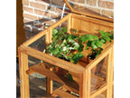 Mini hardwood garden greenhouse 60 cm 41650DXSM