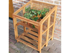 Mini hardwood garden greenhouse 60 cm 41650DXSM
