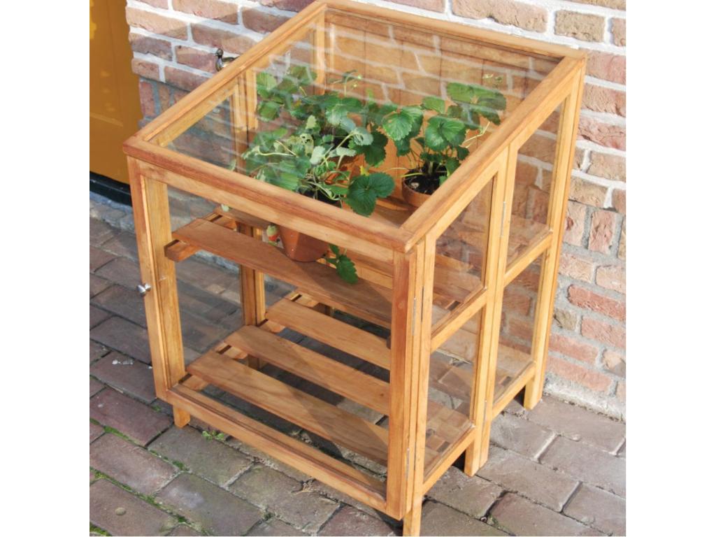 Mini hardwood garden greenhouse 60 cm 41650DXSM